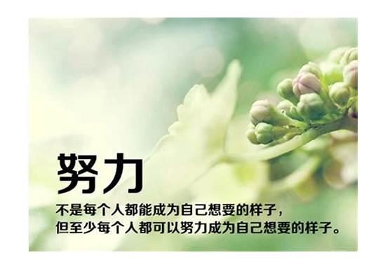 放弃英文与英文