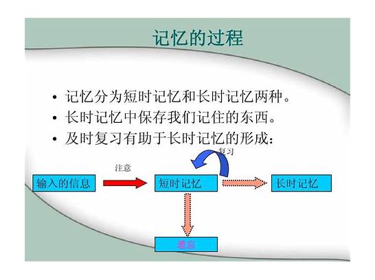 英文记忆法的总结